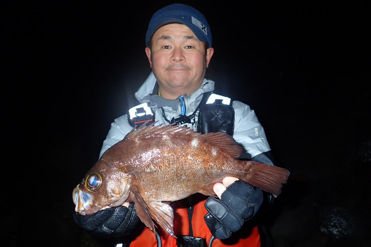 尺メバルが釣れる場所とルアー 鍵はベイトフィッシュの存在 ルアマガプラス