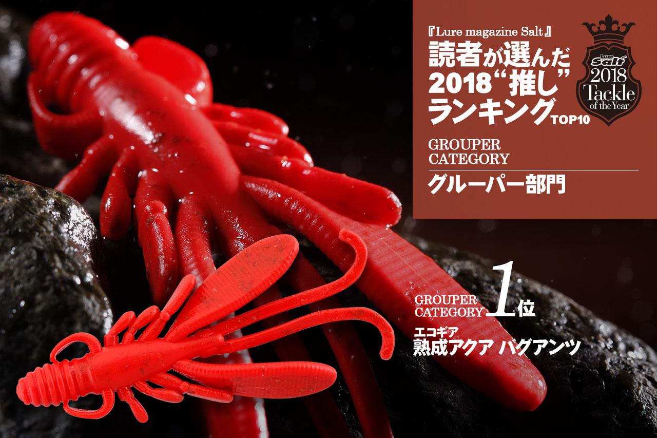『ルアーマガジン・ソルト』読者が選んだ2018年“推し”ルアーはこれだ！【T.O.Y.グルーパー部門ランキングTOP10】