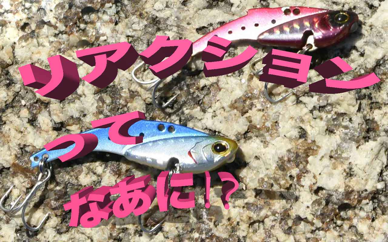 「リアクション」ってなあに？ 漫才風に楽しく学ぶ釣り用語