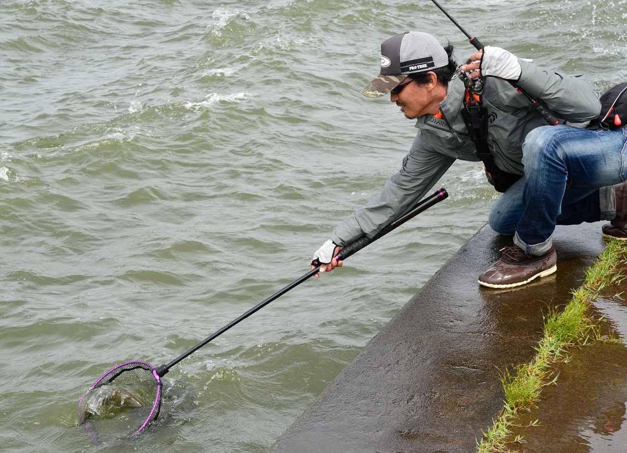 並木敏成の陸っぱり装備 タックルボックス 霞ヶ浦水系セレクト全部見せます ルアマガプラス