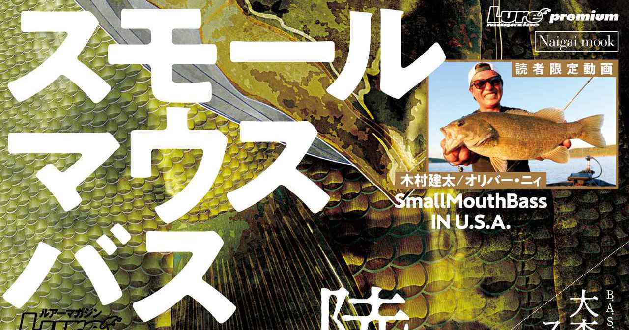 “ルアーマガジン スモールマウスバス”最強攻略本ついに創刊！【陸っぱり川スモールも!!】（229ページ目）