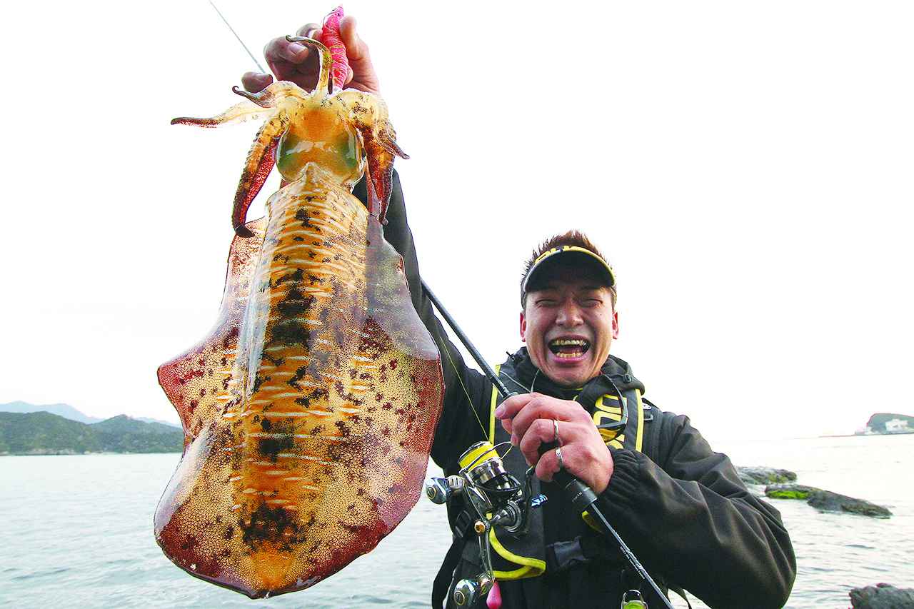 アオリイカに出会える確率UPの鍵は「4段階ローテーションエギング」【池内修次】