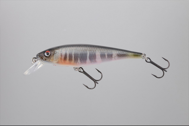本物の魚皮を使ったスペシャルモデル限定販売！【ラッキークラフトの
