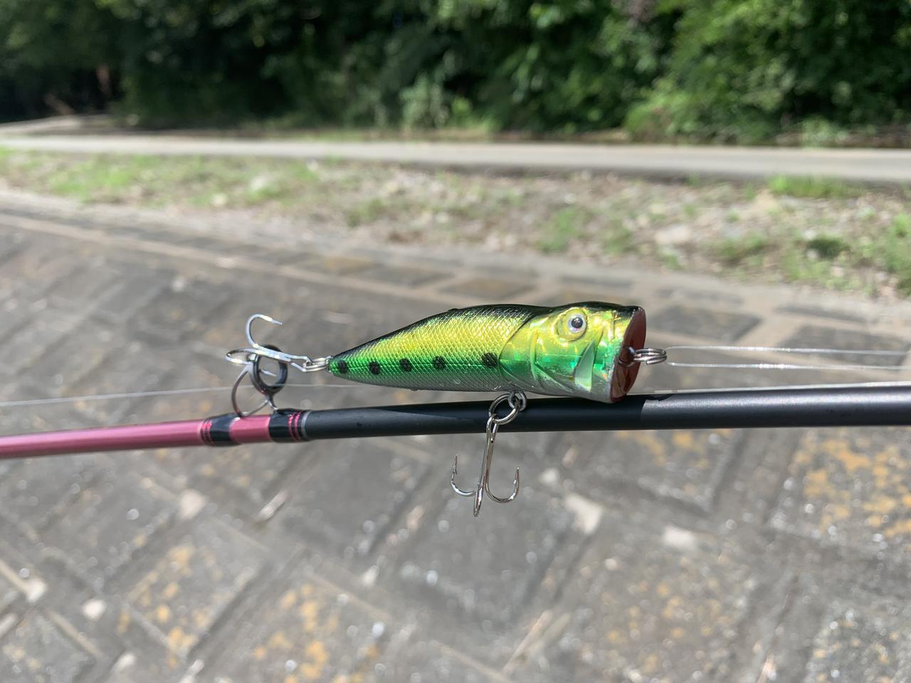 100円均一のシンキングミノーが ちょっとヤバかった Daiso ダイソールアーを専門誌編集者が本気でインプレしてみた ルアマガプラス