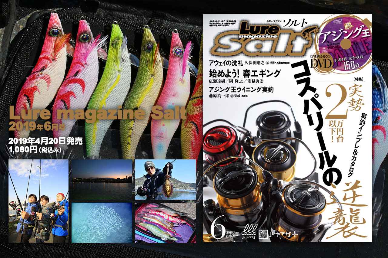 『ルアーマガジン・ソルト 2019年6月号』発売！【実勢2万円台以下！コスパリールぜんぶインプレ｜アジング王予選全4戦のDVD付き!!】