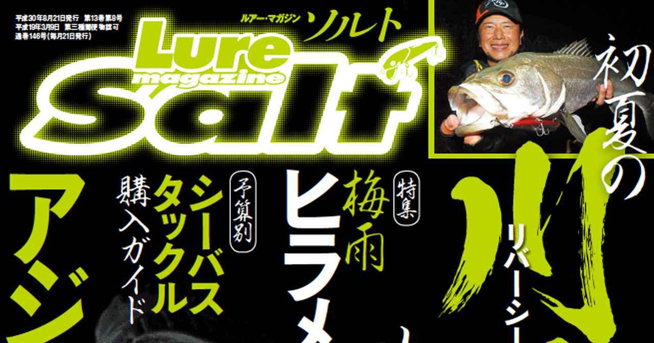 ルアーマガジン・ソルト8月号【アジング王バトル第3戦│初夏の川鱸（リバーシーバス）攻略│ヒラメ絶好釣！】