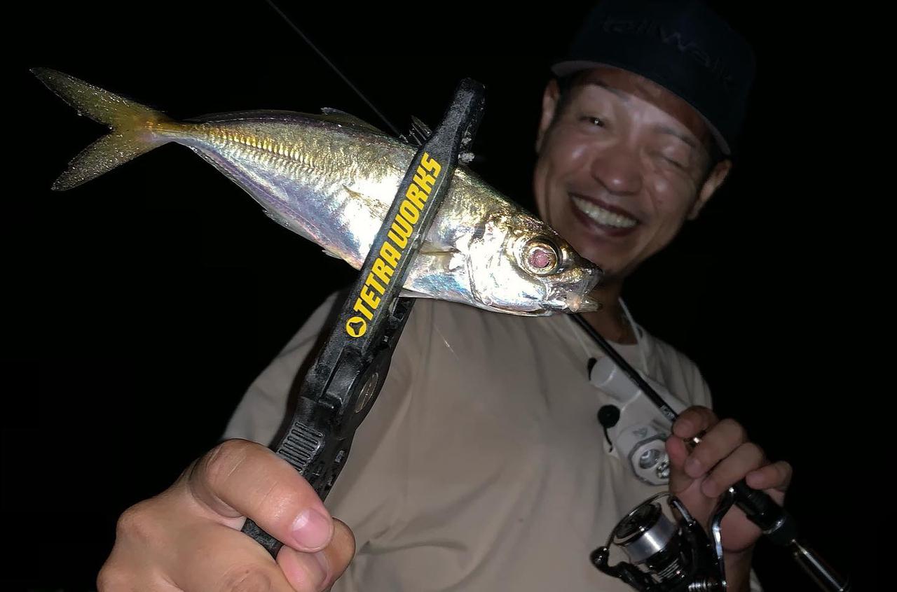 木村壮大2019年ベストルアーは“何もしなくても誘い続けてくれる”アジングワーム『テトラワークス バーニー（デュオ）』