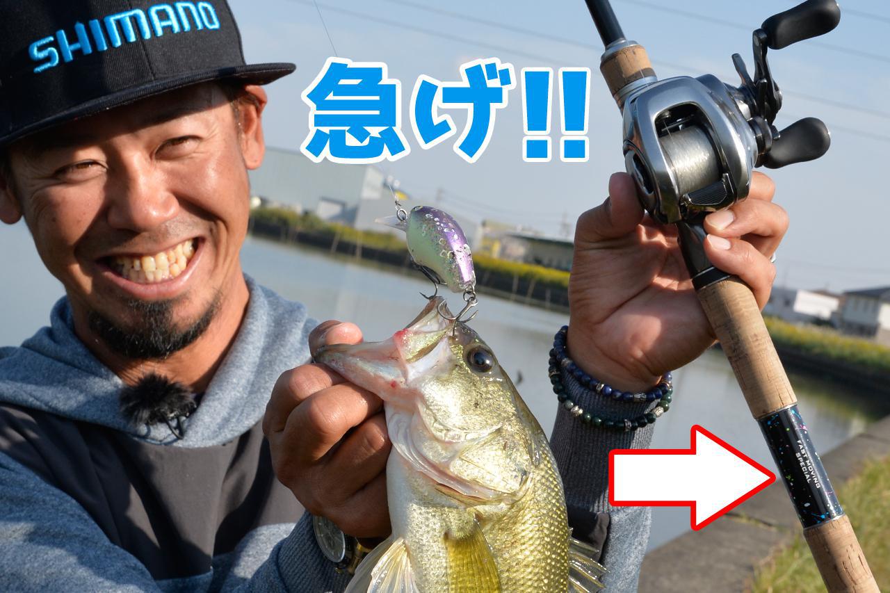 ついに発売!!】トップ50アングラーに訊きました。「なぜゾディアスを 