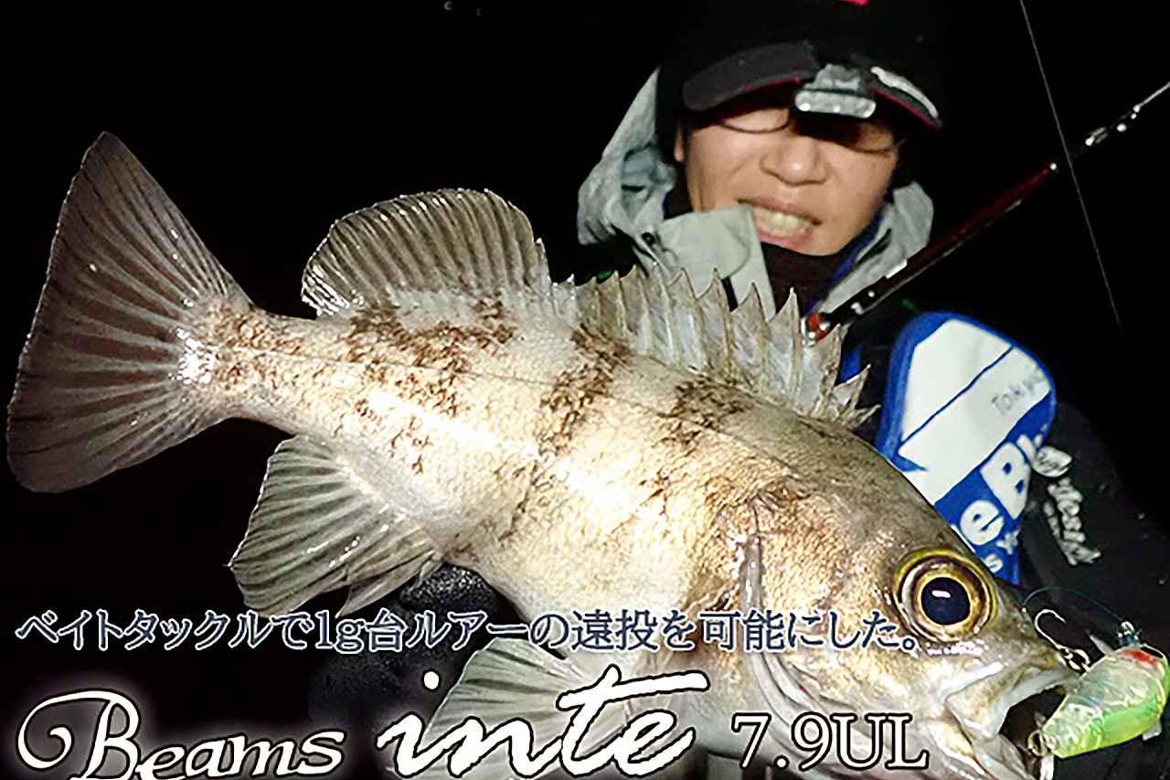 Beams inte7.9ULL【Fishman】
