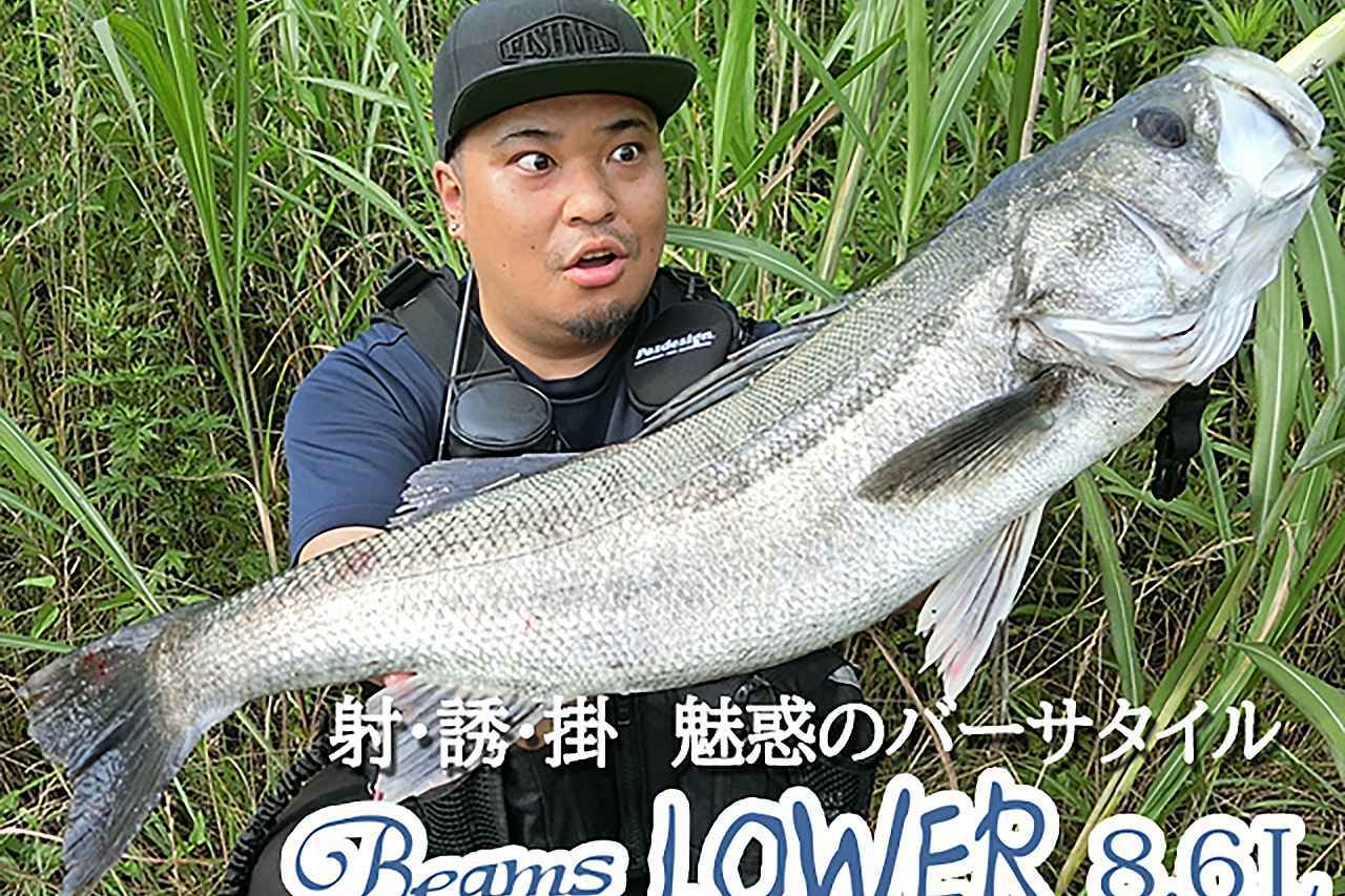 BeamsLOWER8.6LL【Fishman】