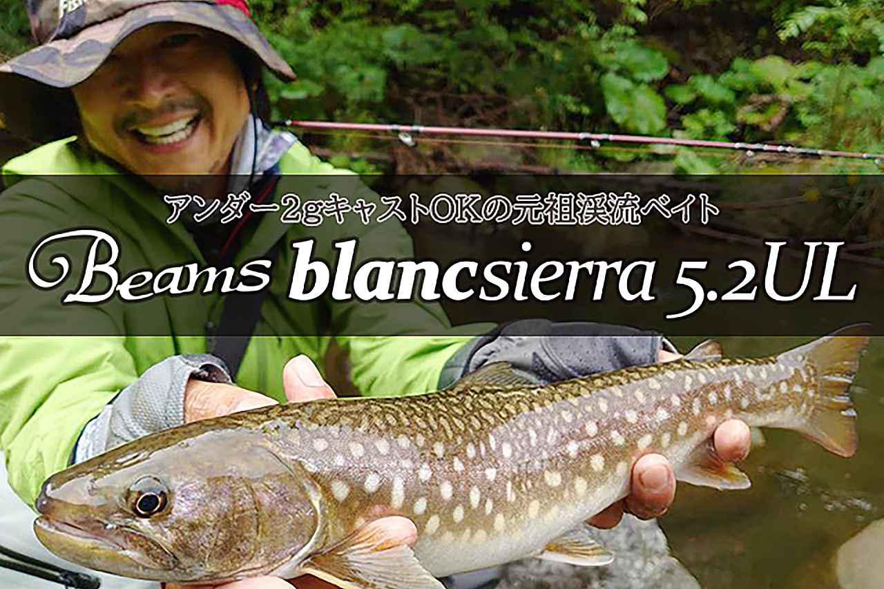 Beamsblancsierra5.2ULL【Fishman】