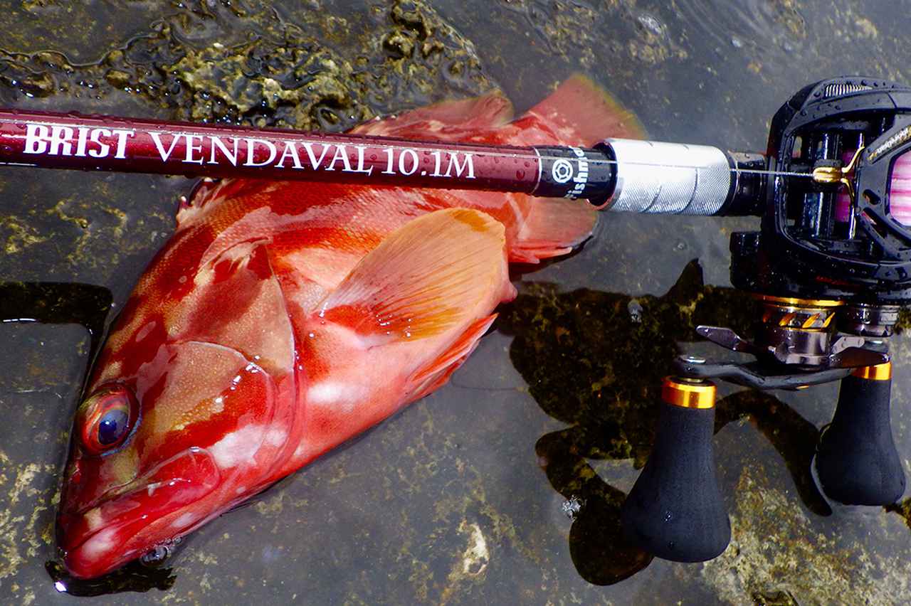 BRIST VENDAVAL10.1M FISHMAN ブリストベンダバール - フィッシング