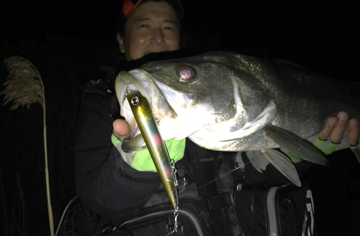 シーバスルアーは食ってるエサに合わせて選ぼう！ オヌマン流の