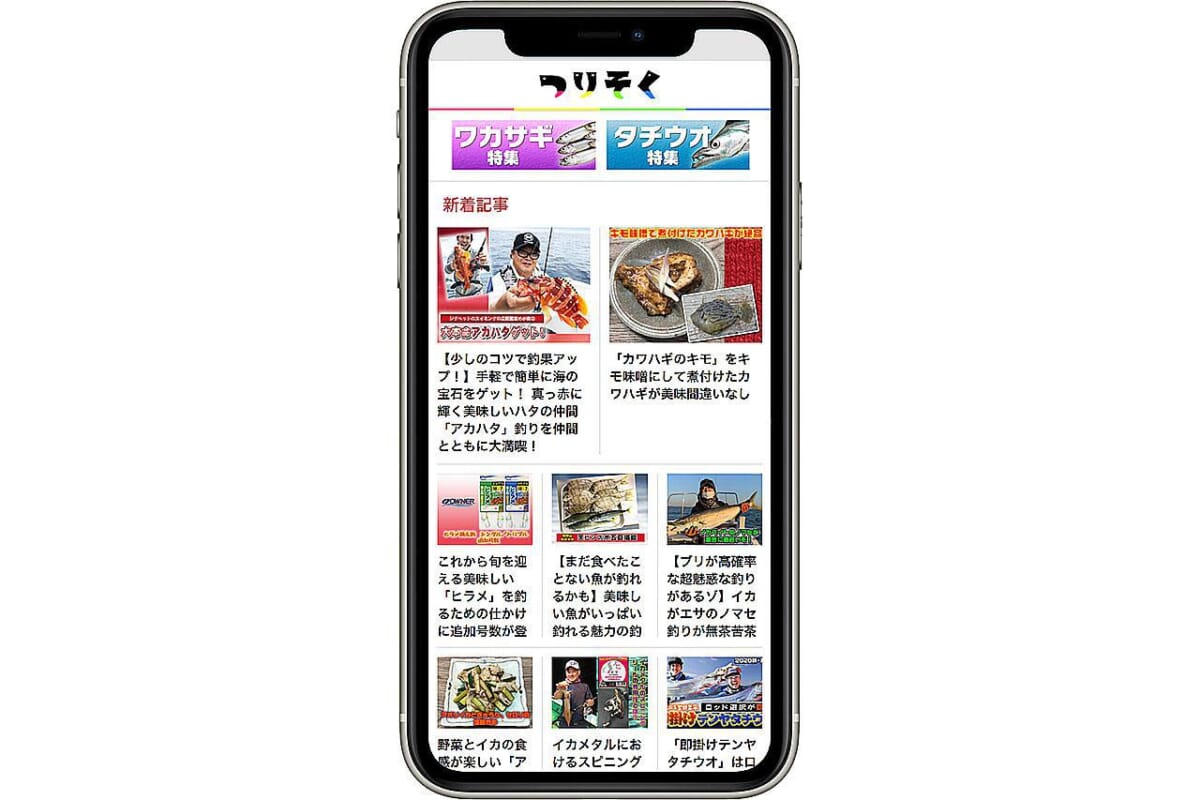 つりそく【つりそく／ルアーニュースR／Vish】