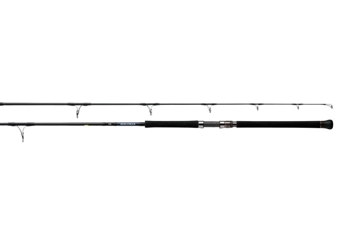 SALTIGA C【DAIWA】