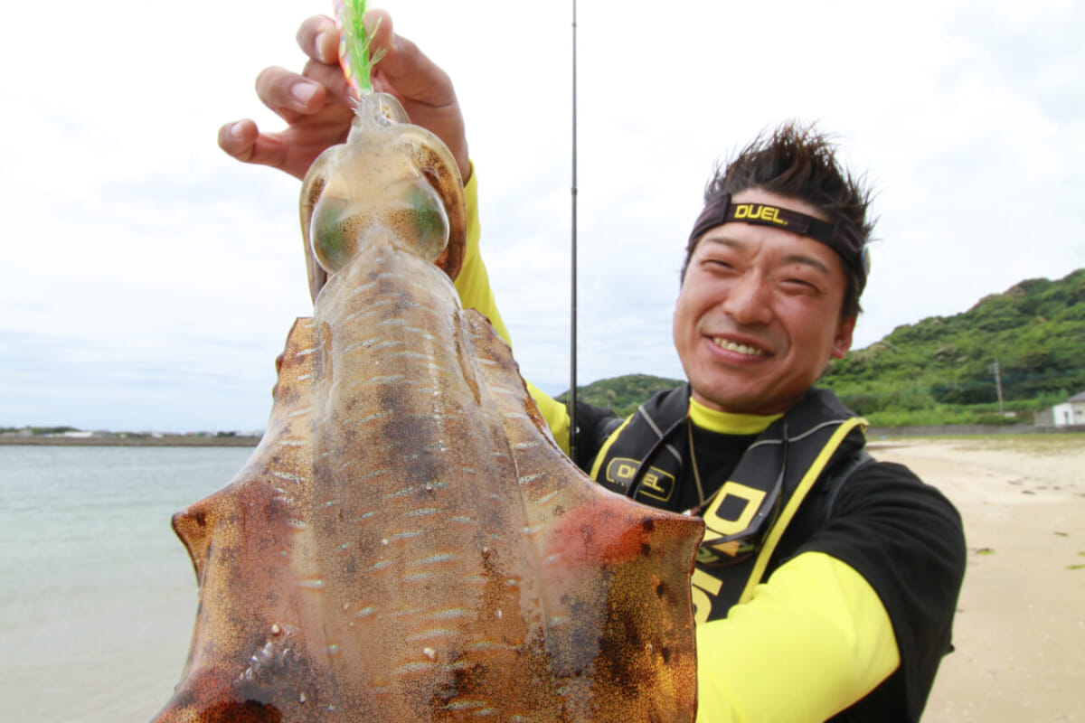 3月のエギングは本格シーズン開幕間近 春アオリイカを ひと足早く釣る 方法を池内修次が解説 ルアマガプラス