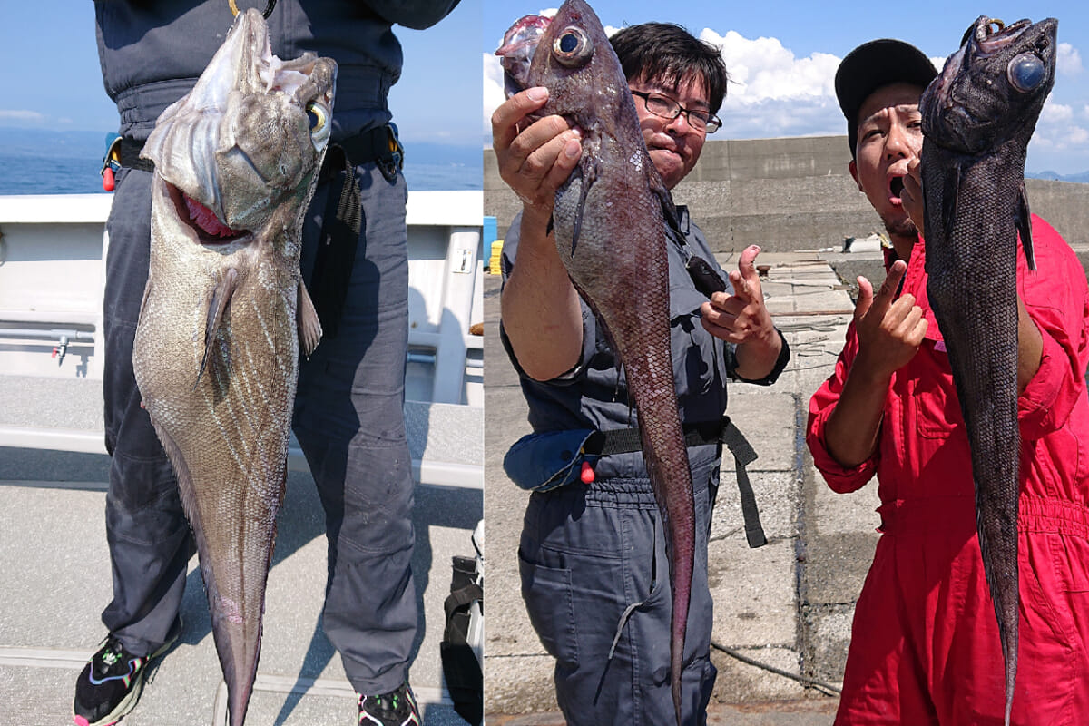 釣れる深海魚 コイツ等の名前知ってる ルアマガプラス