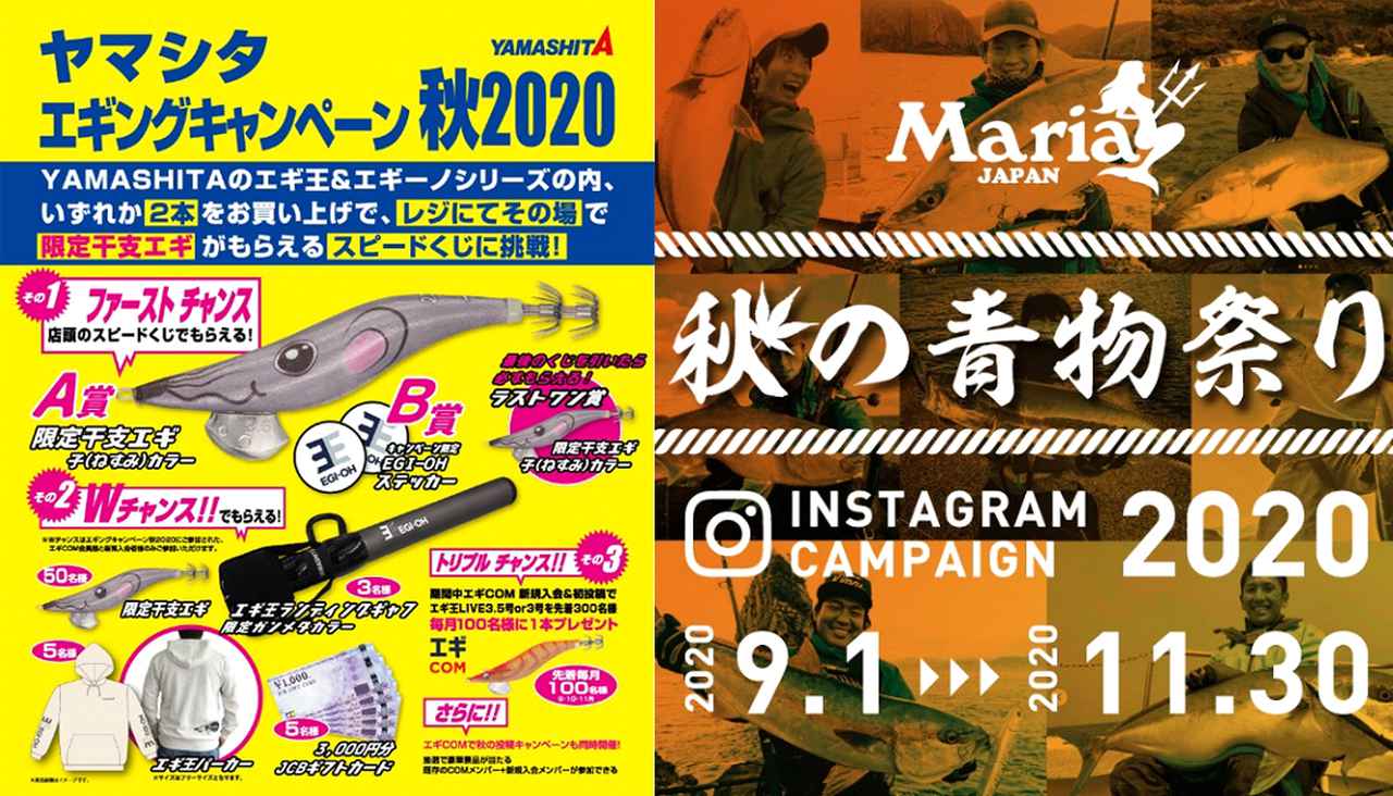 ヤマシタ＆マリアから秋のエギング＆青物キャンペーン開催中！
