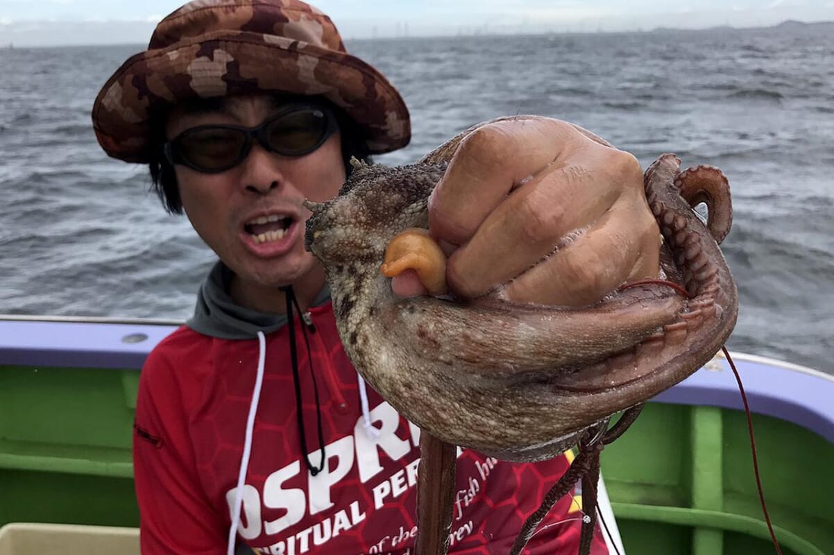 江戸前のマダコ釣りが炸裂してるから食材採りに行ってきたよ マシモpブログ ルアマガプラス