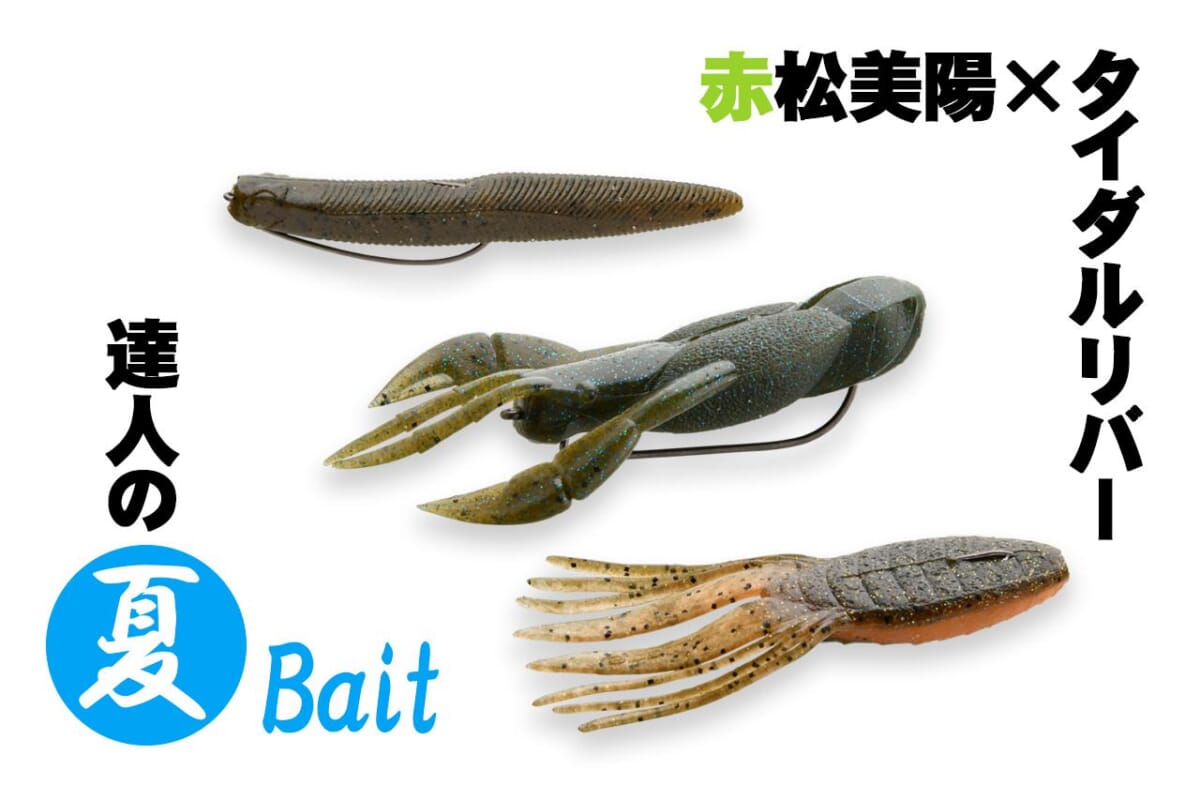 夏バス釣るなら“テナガエビ”と“小魚”を見極めろ！【達人のベイトパターン100】