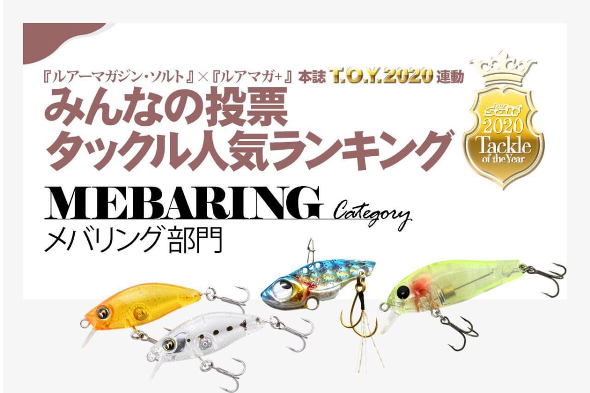 メッキ釣りは手軽に遊べる「激烈」ライトゲーム！ メッキ釣り攻略用の