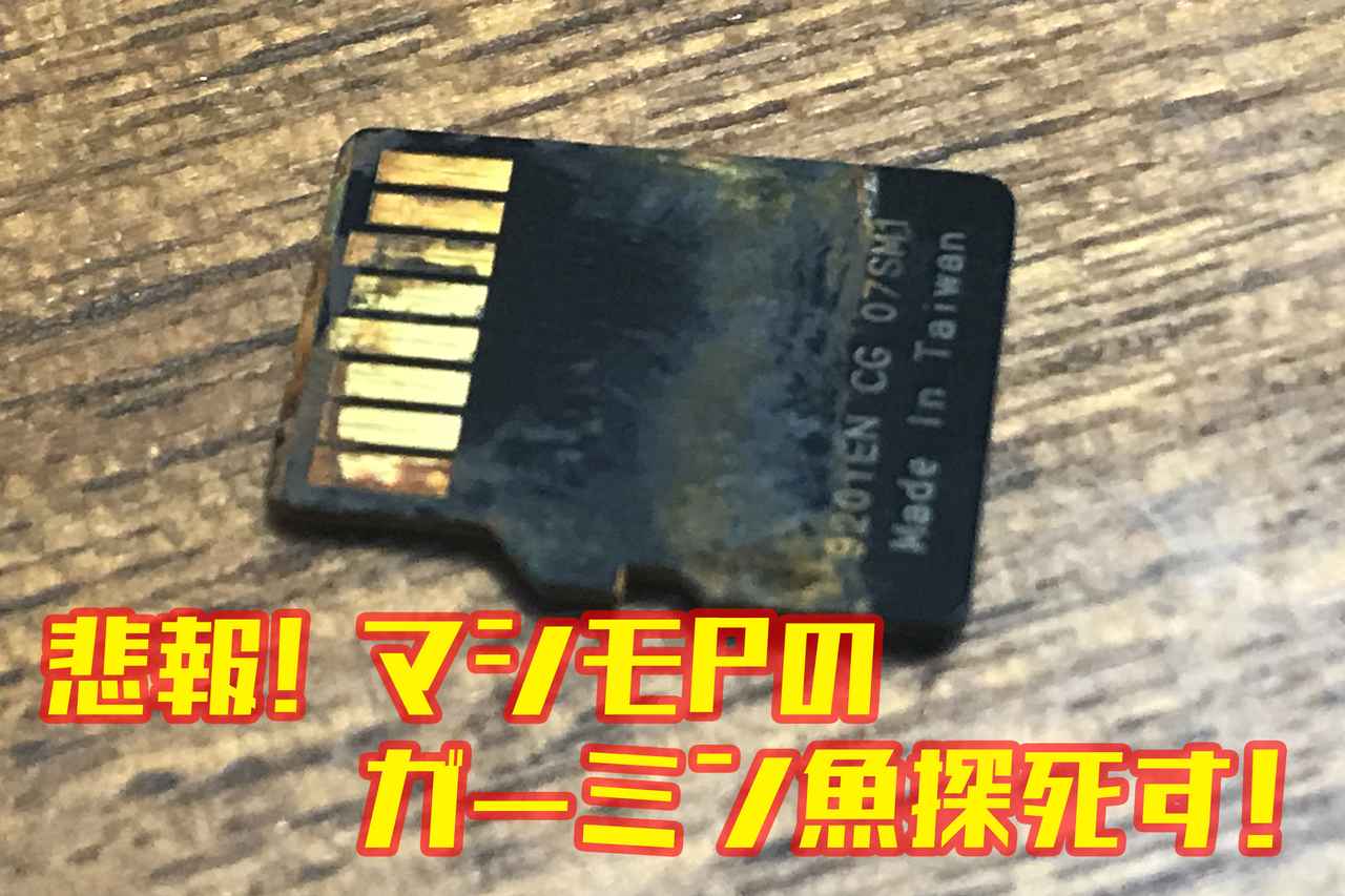 50600円 送料無料 ガーミン エコマップ95SV