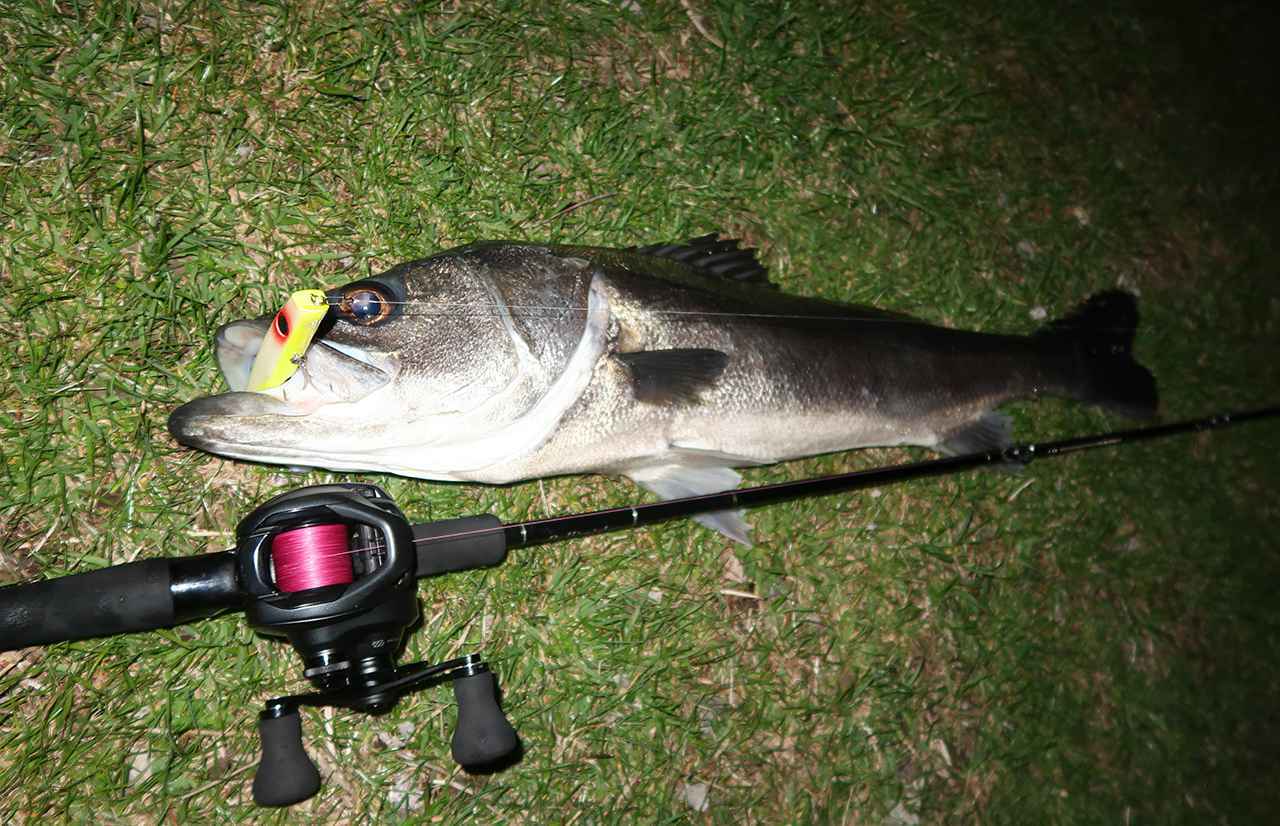 シマノシーバスロッドの最高峰「エクスセンス」シリーズから遂に