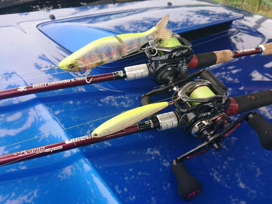 最強淡水魚パプアンブラックバスを求めて怪魚だらけのパプア