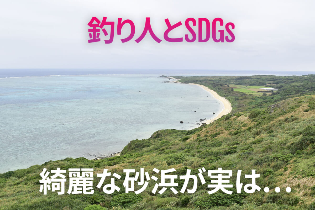 釣り人とSDGs：石垣島の砂浜から知る世界レベルの海洋ゴミの問題