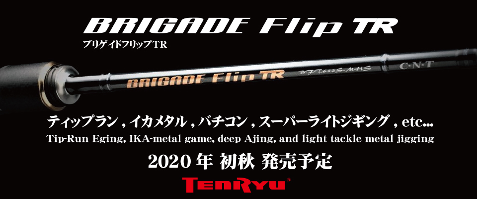 ティップランからSLJまで！ 遊び方無限大のエギングロッド「ブリゲイドフリップTR（テンリュウ）」全機種解説！│ルアマガプラス