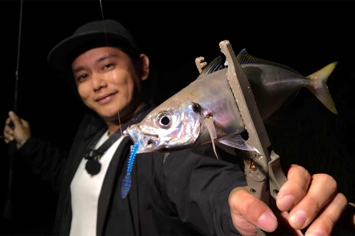 トミー敦が語る！未知なる可能性を秘めたアジングポイント「サーフ」とは？【2020年メモリアルフィッシュ】