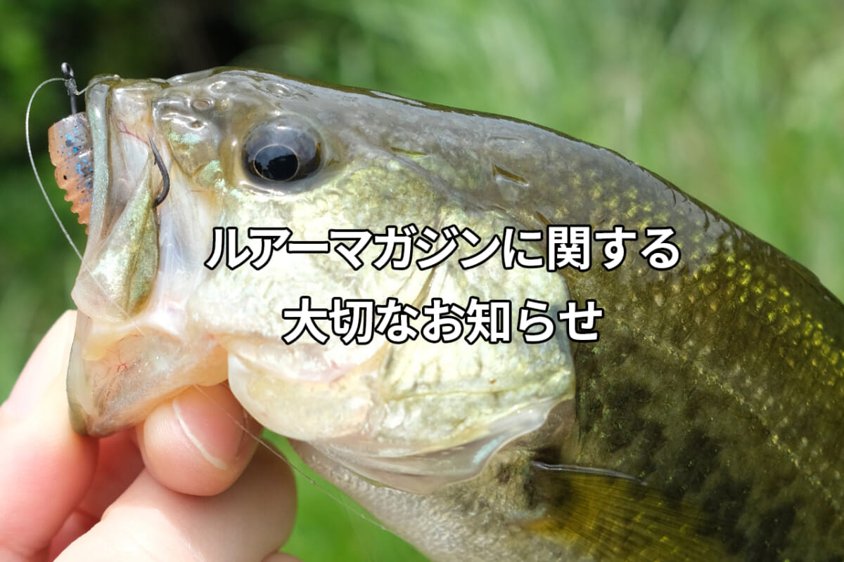 バス釣りにとにかく楽しいPEラインはいかがですか!? 『スタンド