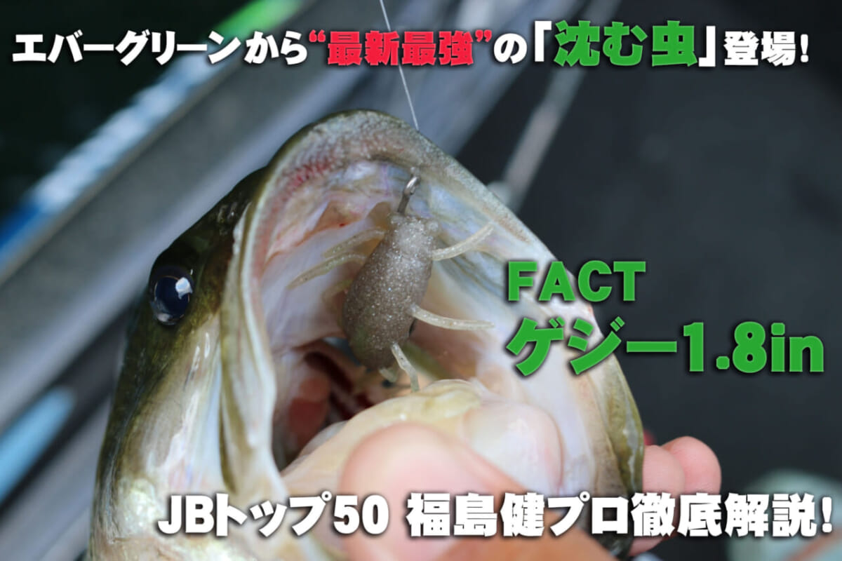 エバーグリーンが送り出す 究極 の沈む虫 ゲジー とは その魅力を徹底解説 ルアマガプラス