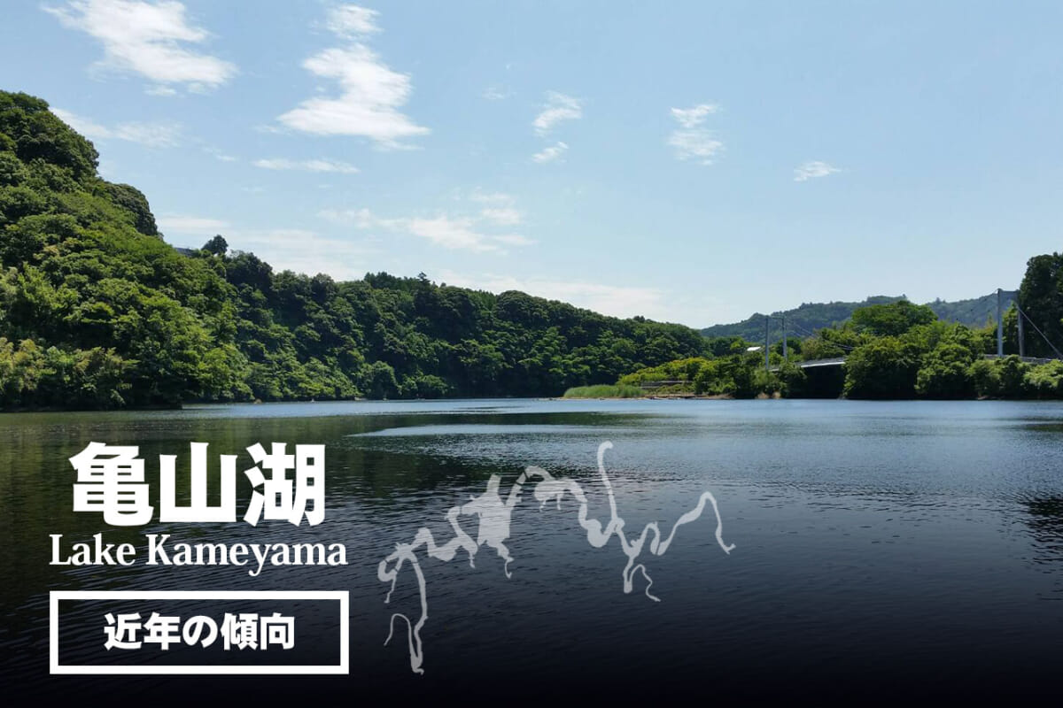 【亀山湖】人気ボート店直送！ でかバス5大湖の近年の傾向を解説