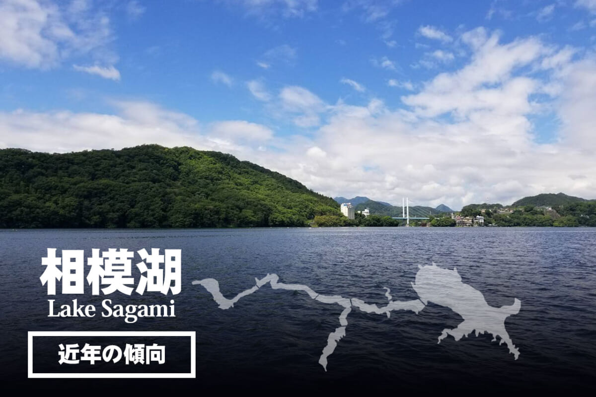 【相模湖＆津久井湖】人気ボート店直送！ でかバス5大湖の近年の傾向を解説
