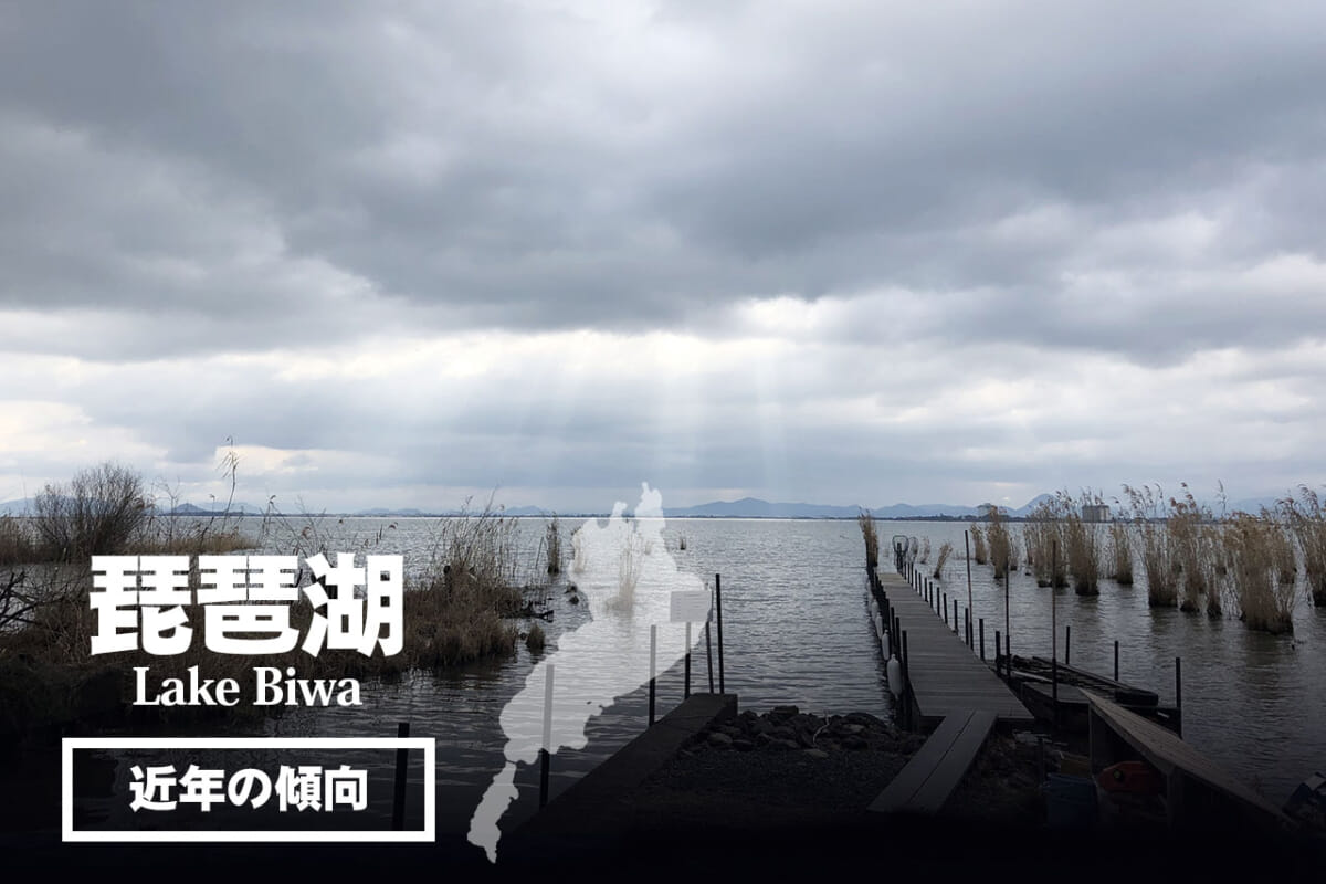 【琵琶湖】人気ボート店直送！ でかバス5大湖の近年の傾向を解説