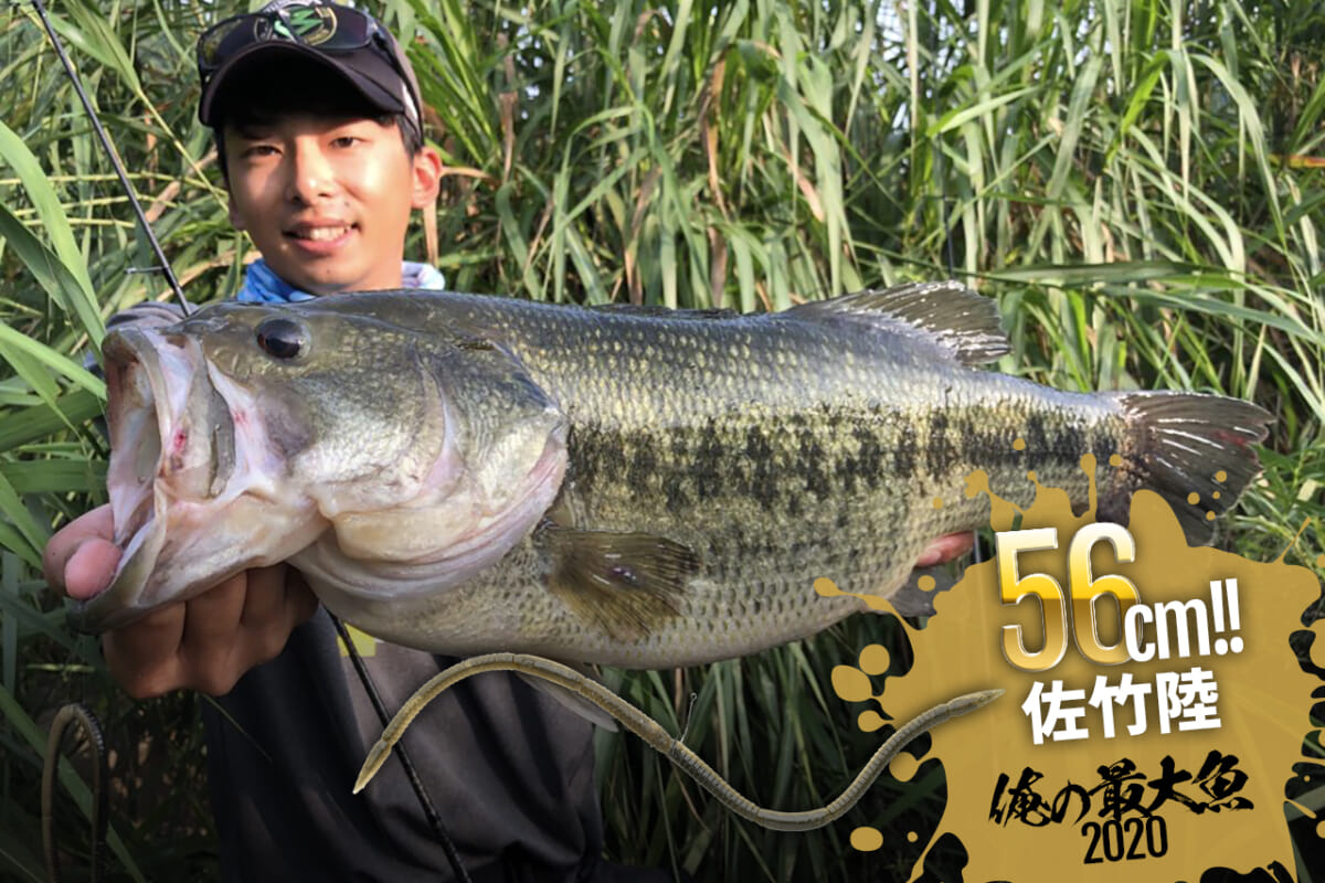 【八田原ダム56cm】佐竹陸「俺の最大魚2020」バス釣りセッティング大公開