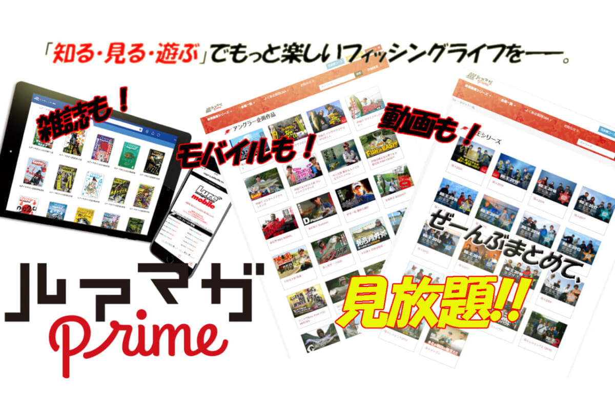 【超絶オトクなバス釣りサブスク】ルアマガprimeとは？【知る・見る・遊ぶを全力サポート！】