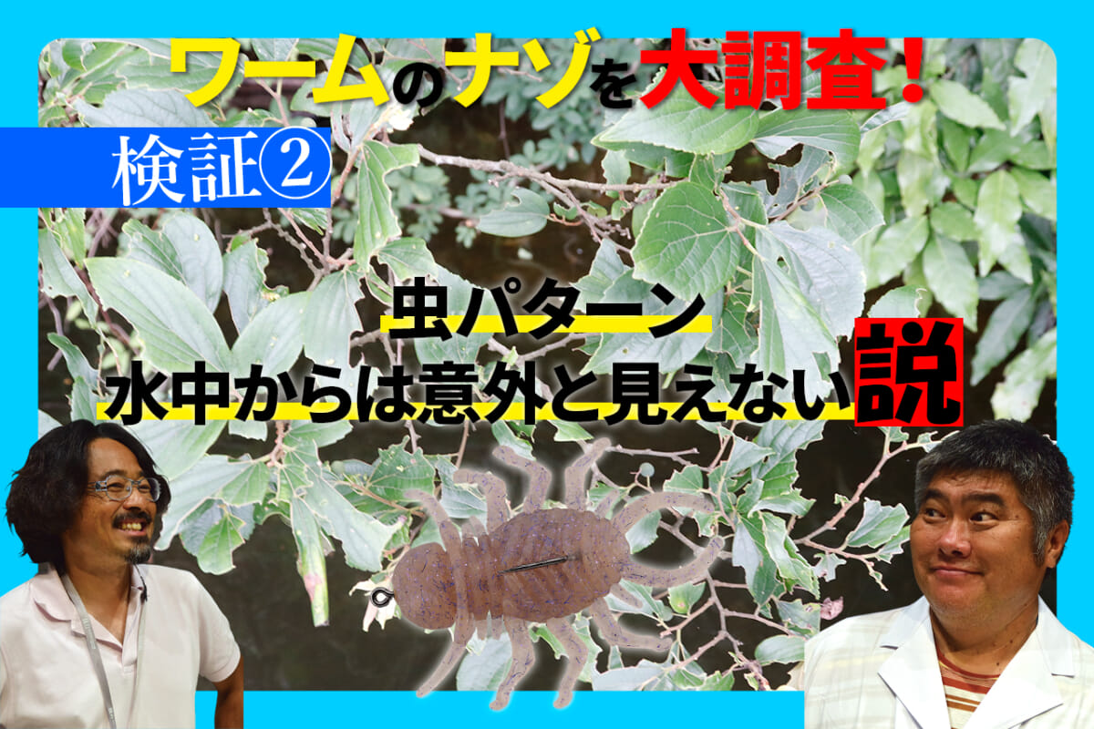 真夏のバス釣りテク ムシパターンは水中からどう見える Duo巨大水槽で調査 ワームのナゾ徹底検証 ルアマガプラス