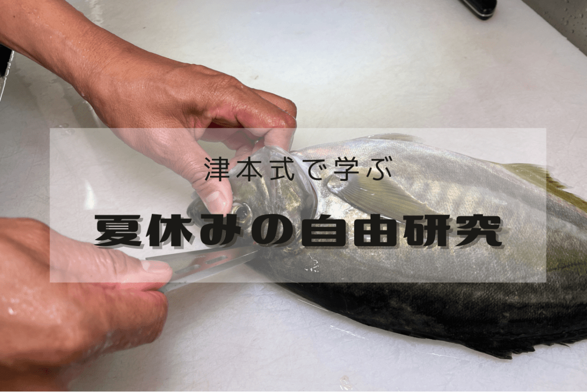 魚の食育 津本式で夏休みの 自由研究 ルアマガプラス