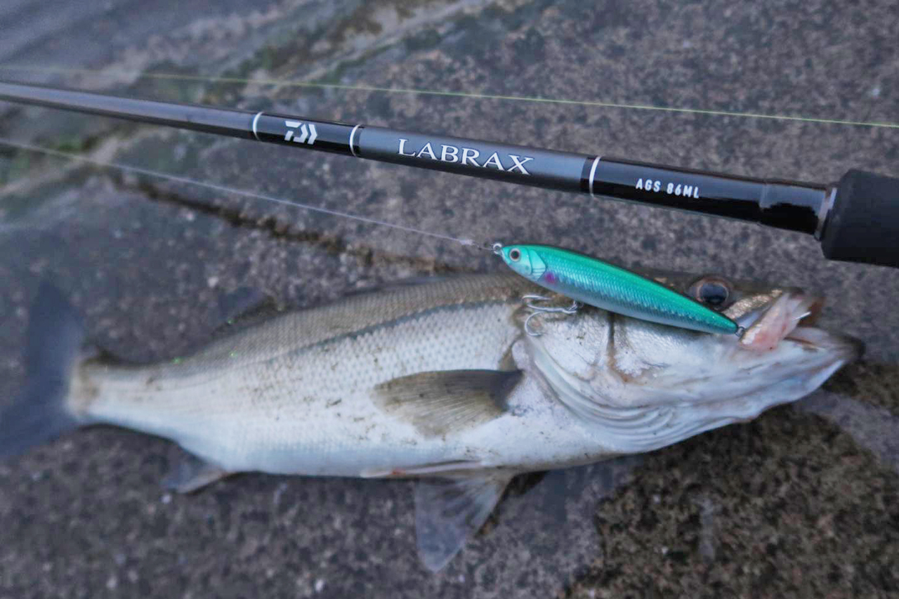 DAIWA LABRAX シーバスロッド-