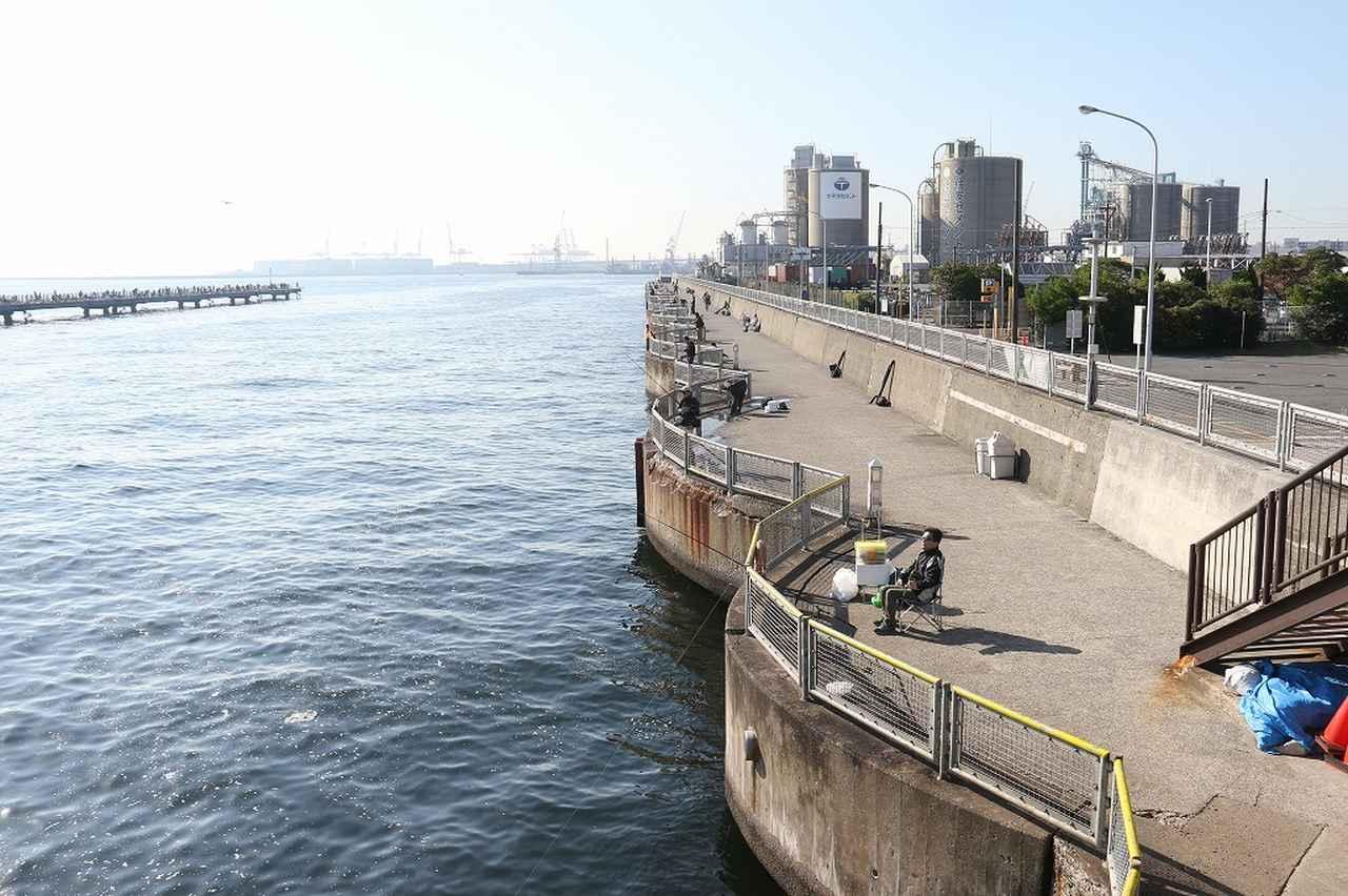 家族連れや初めての海釣りなら海上釣り堀や海釣り公園がお手軽です！【初めての釣りにオススメ】