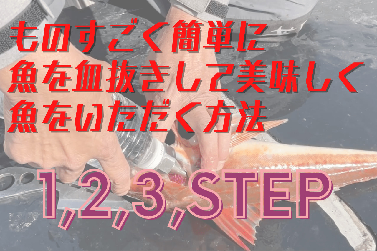 秒で終わる血抜き処理で魚の鮮度が劇的に変わる方法をご紹介【津本式家庭用魚仕立てノズル】│ルアマガプラス