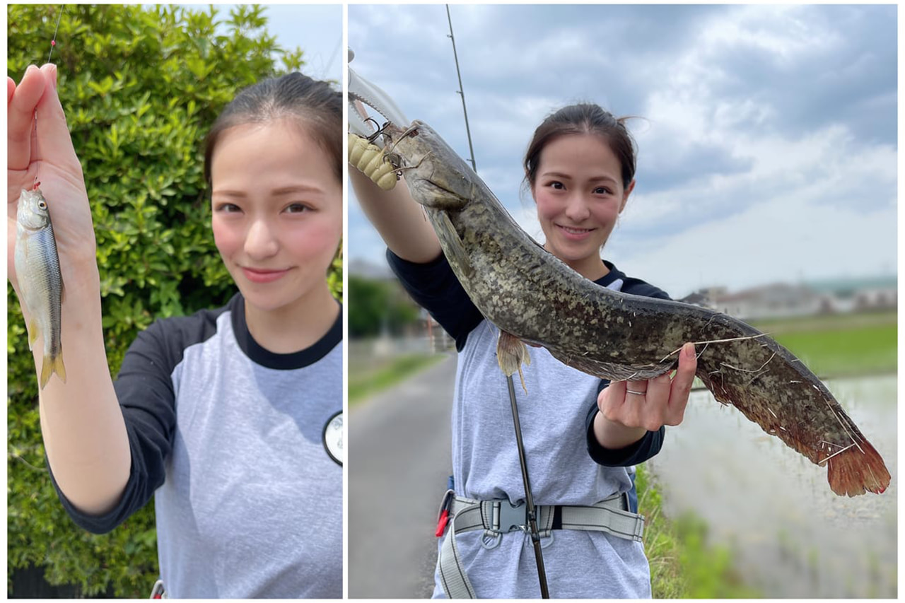 近所の小川でこんな大物が!? タナゴ＆デイナマズに釣り女子が挑戦！ 小物から大物まで手軽にゲット！