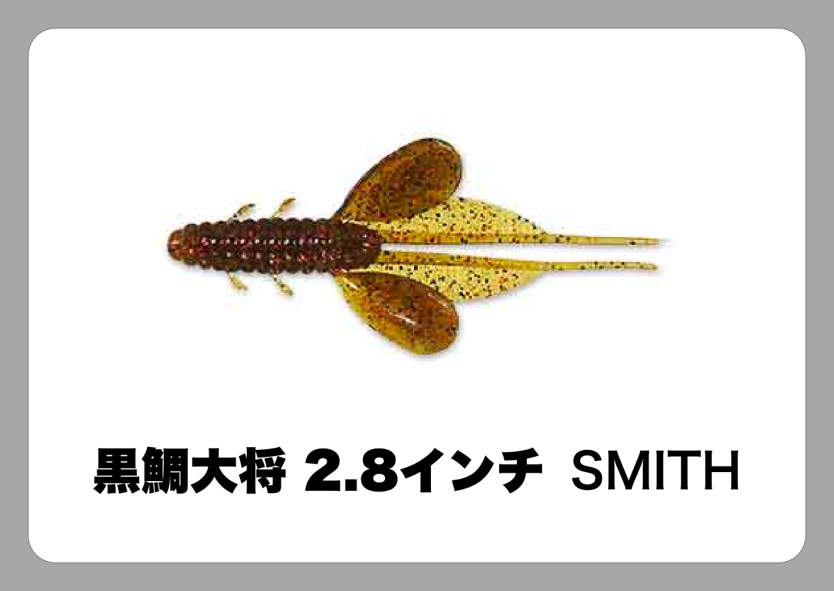 黒鯛大将 [SMITH]〈ルアマガ的定番タックルカタログ｜ソルトルアー〉