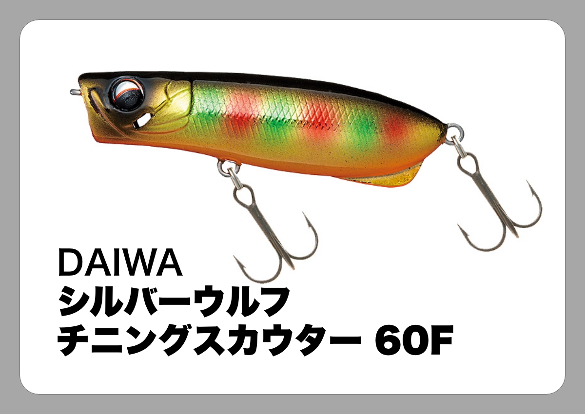 シルバーウルフ チニングスカウター 60F [DAIWA]〈ルアマガ的定番タックルカタログ｜ソルトルアー〉