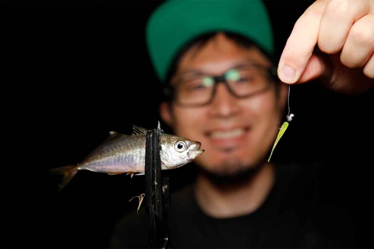 豆アジ爆釣！ アクアウェーブの豆アジ専用アイテムを使ったら本気でヤバかった！　【アジピンピン、アジペンペン、ナンバンヘッド】