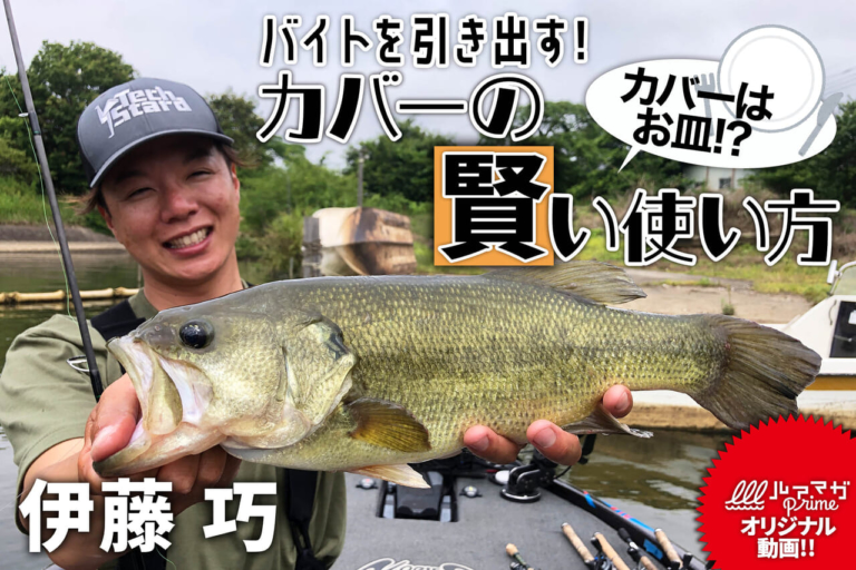 『バイトを引き出す！ カバーの賢い使い方 伊藤巧』