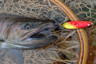 オールドスプーンマニアが作ったスプーン『CHIDORI（チドリ）』は千鳥アクションで渓流魚を魅了する!!