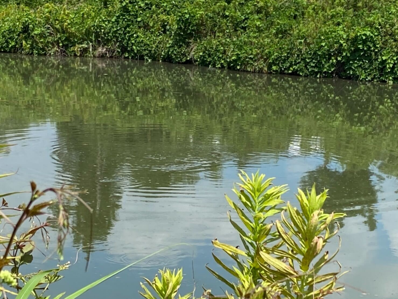 花室川河口のピン撃ち ルアマガプラス